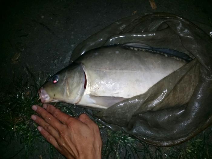 长河欢乐垂钓场