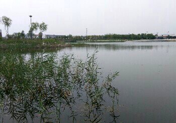 盛世豪庭北广场