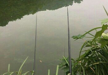 濛阳中信城钓场