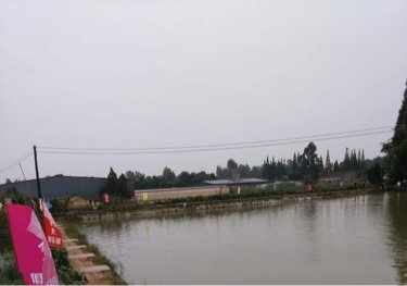 黑漂钓鱼俱乐部