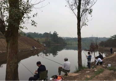 蔡家公租房野塘