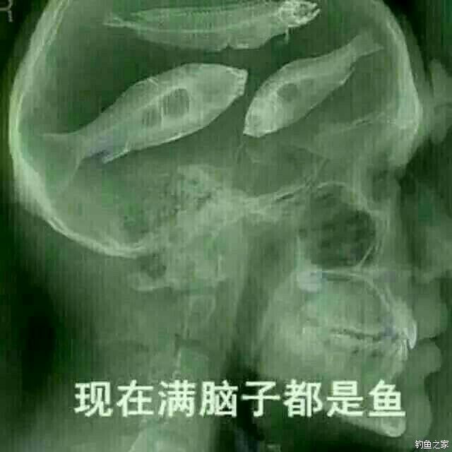 老虎洞大河