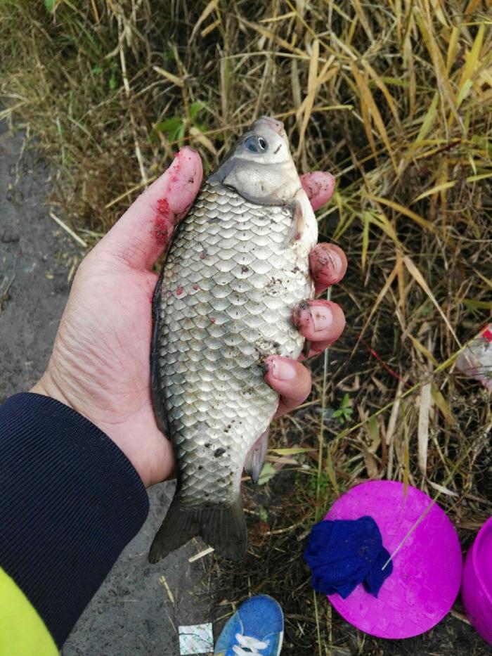 雁鸣湖