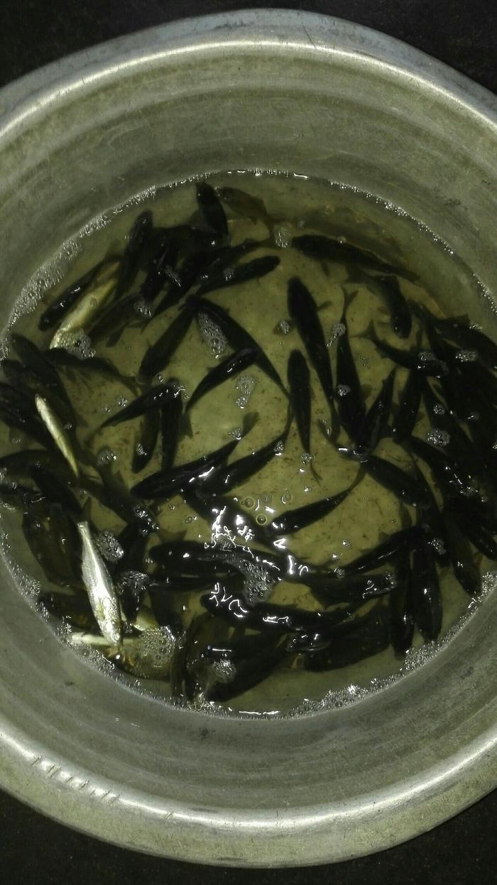 南排河沧宁大桥附近