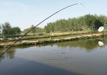 张家鱼塘