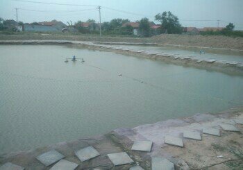 观音堂休闲垂钓园