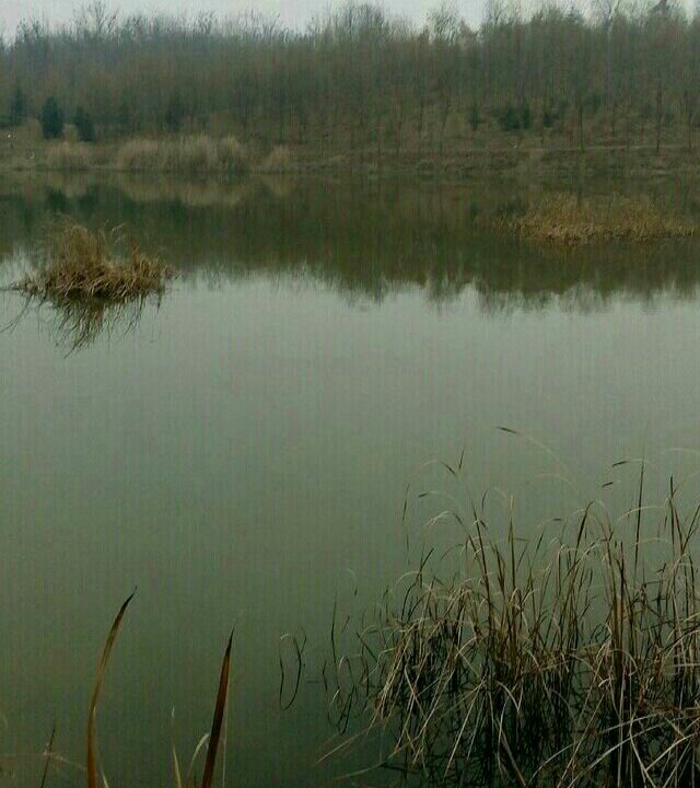 三角公园南钓场