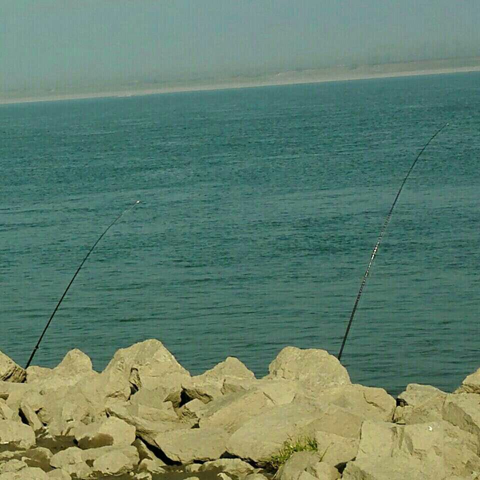 石首东升镇寡妇夹