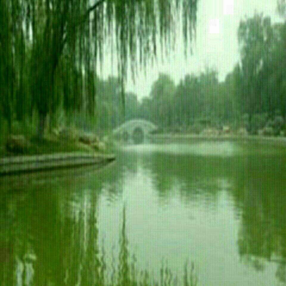 蓟运河寨上大桥段