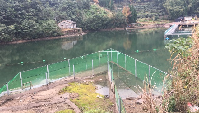 北洋岙里阿辉鱼塘