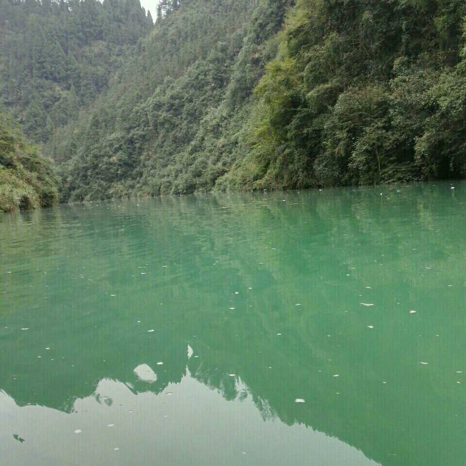 丰宏水电站天然野钓场