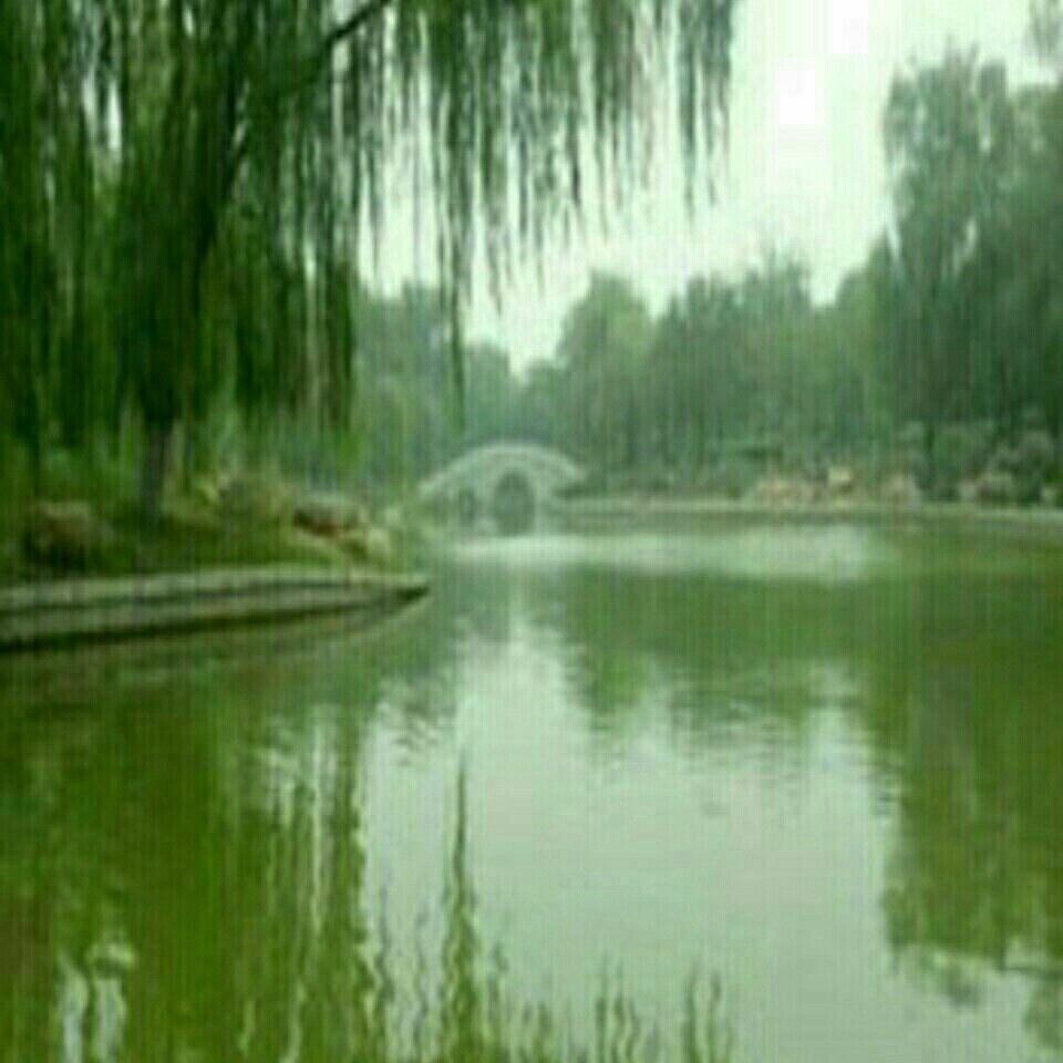 新开河万柳村大街段