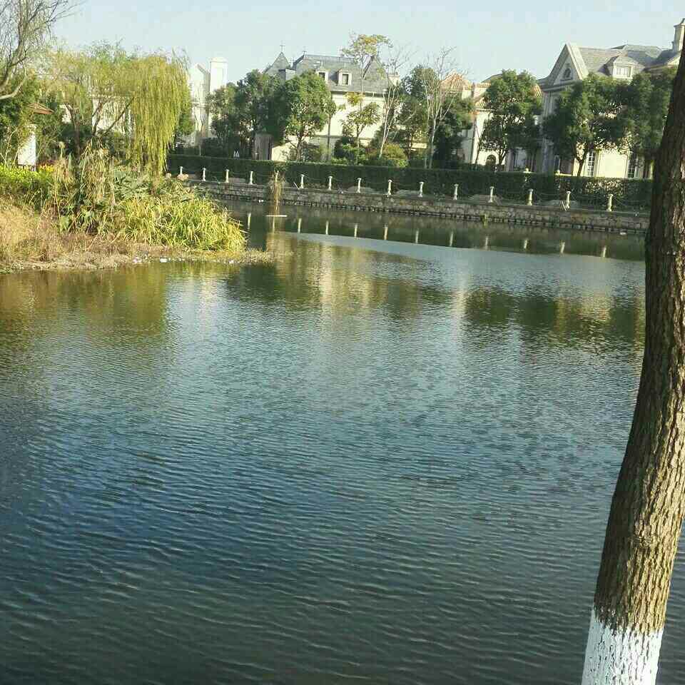 西向阳路淀浦河支流