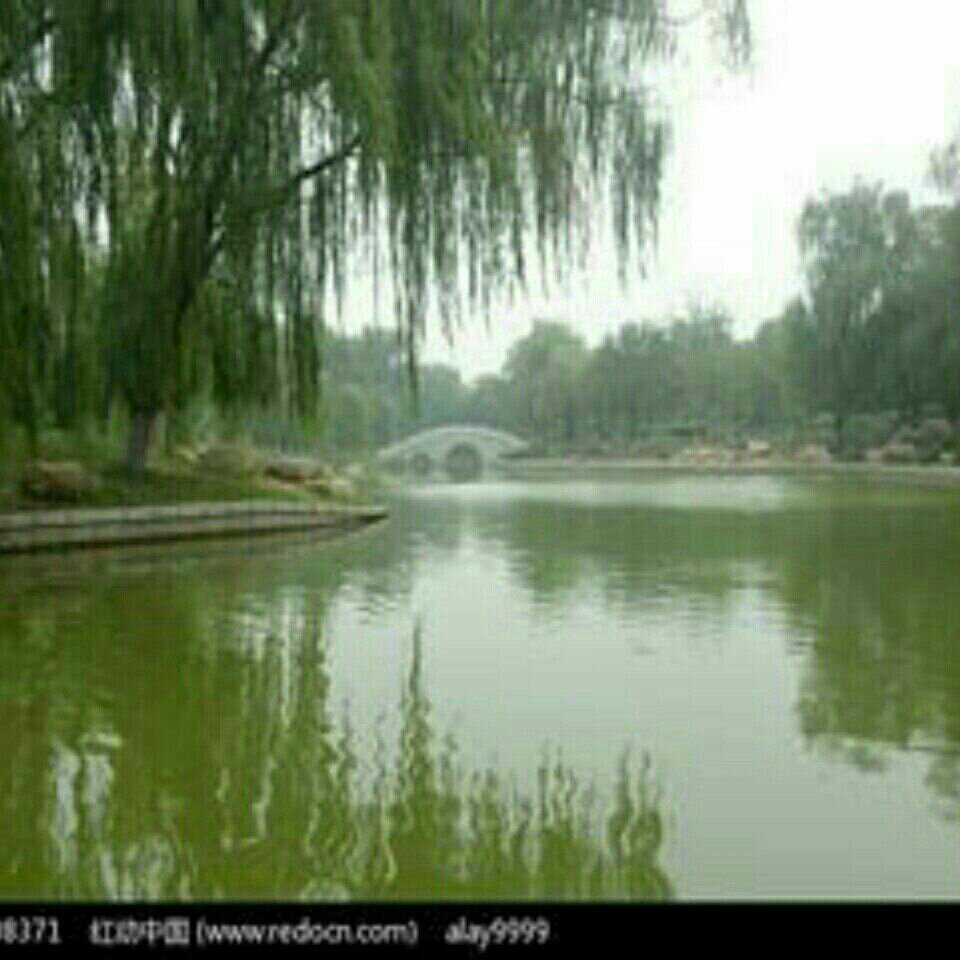 海河福安大街段