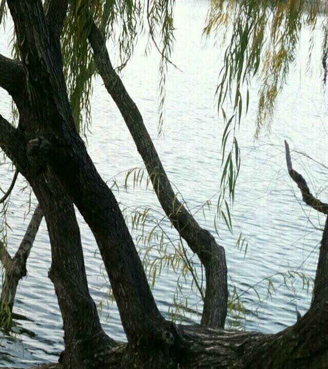 烟台莱山陈家水库