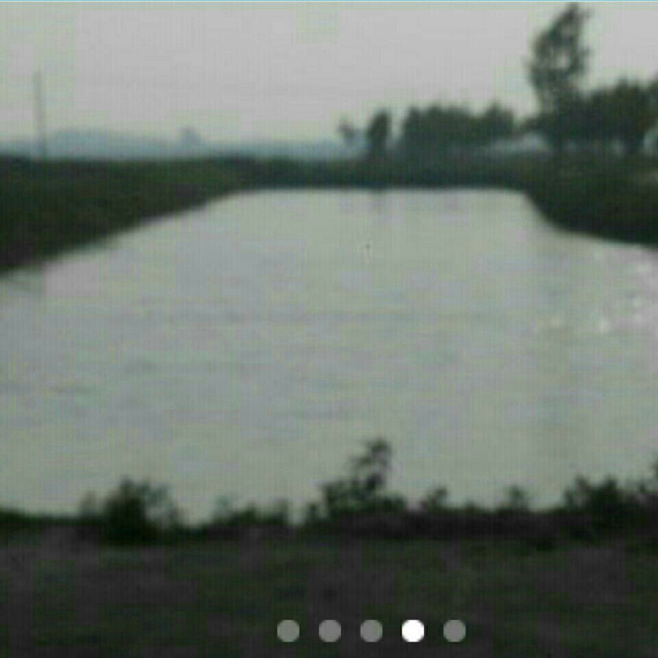 二场六队垂钓园