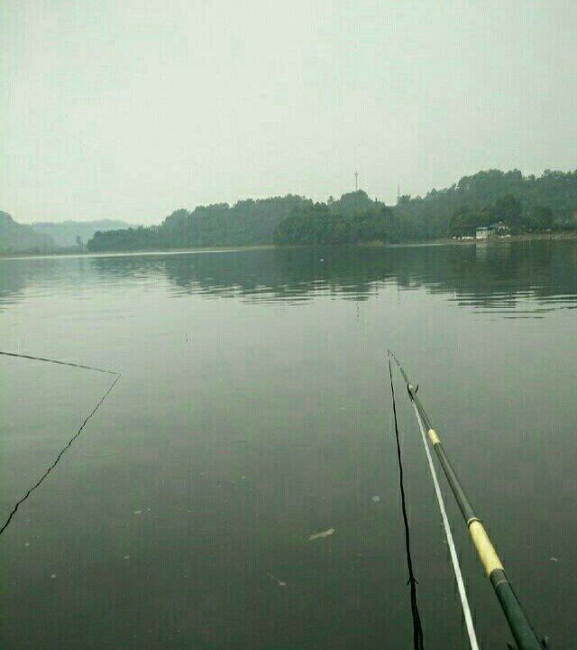 李家沱大桥钓场