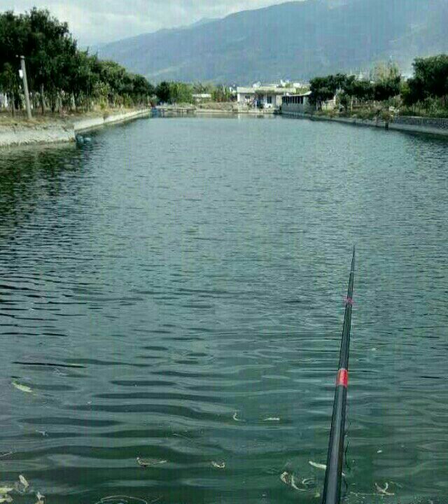 宾川四中后面某塘