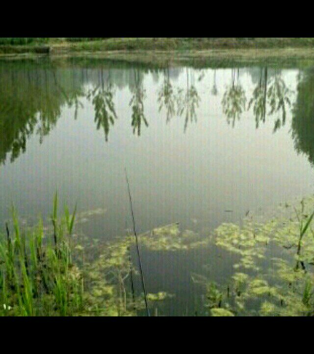 太和宋集段谷河野钓场