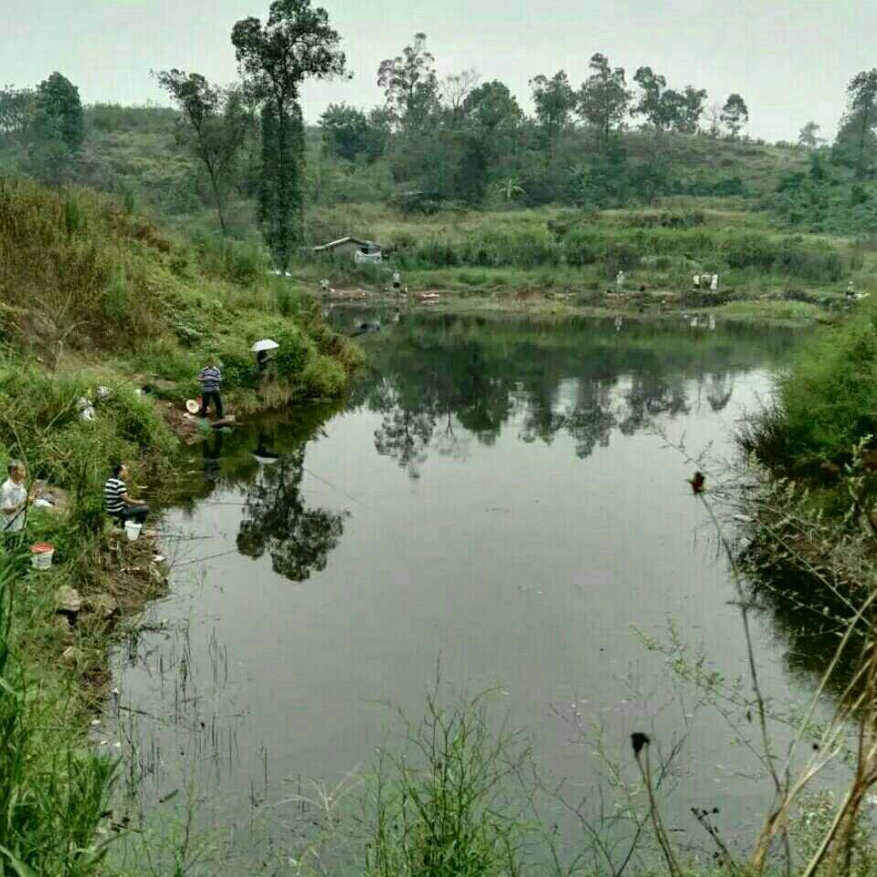 北碚蔡家岗隆鑫爱琴海旁