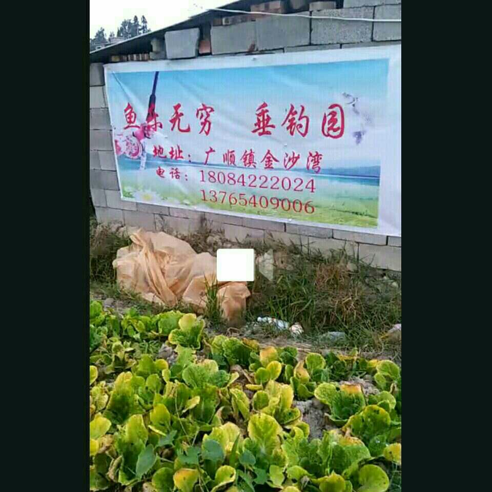 鱼乐无穷垂钓园