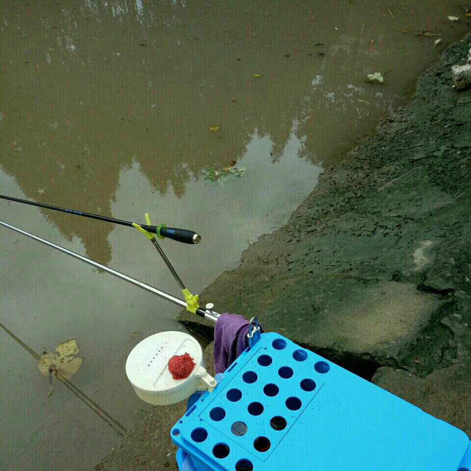 闵行丰收村丰收河