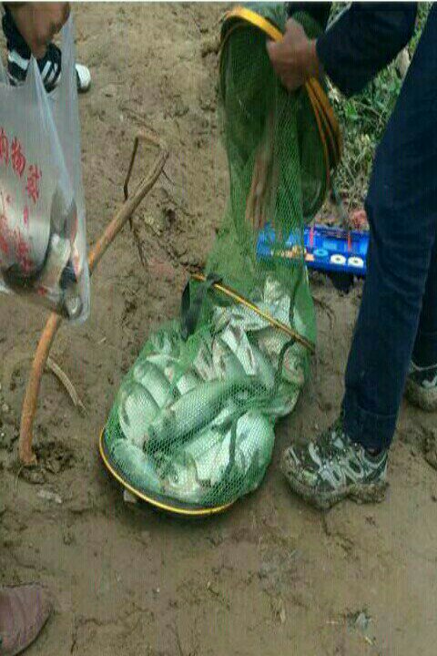 大荻沟垂钓中心