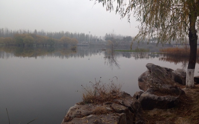 庄家庄生态公园