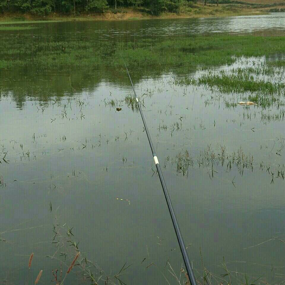 富源县，桃园镇
