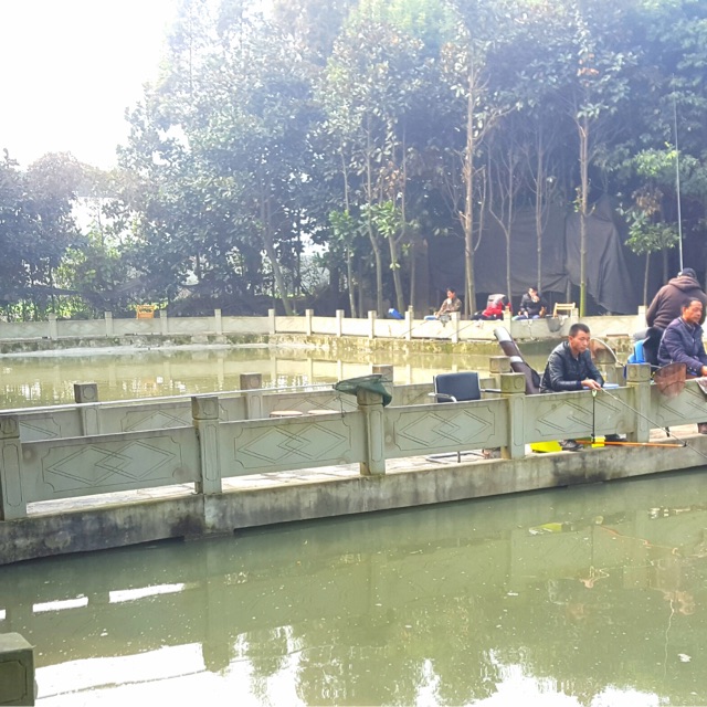 胡大爷开心鱼塘