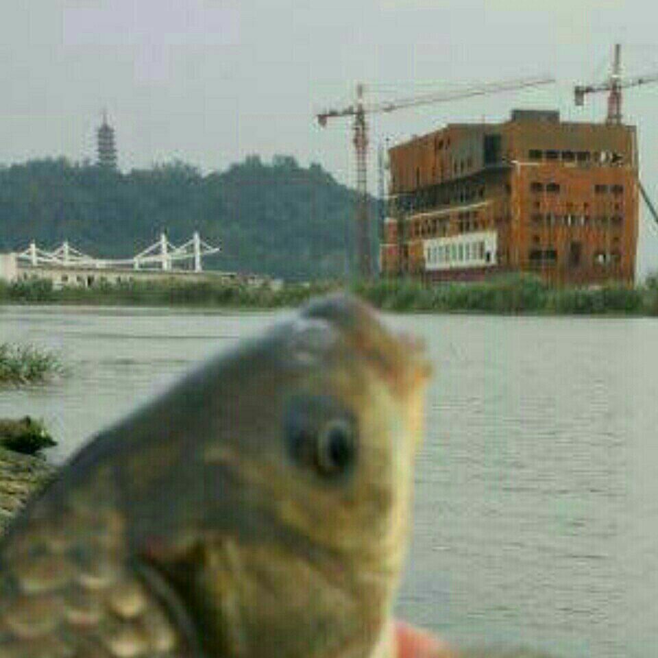 江苏镇江钓鱼岛