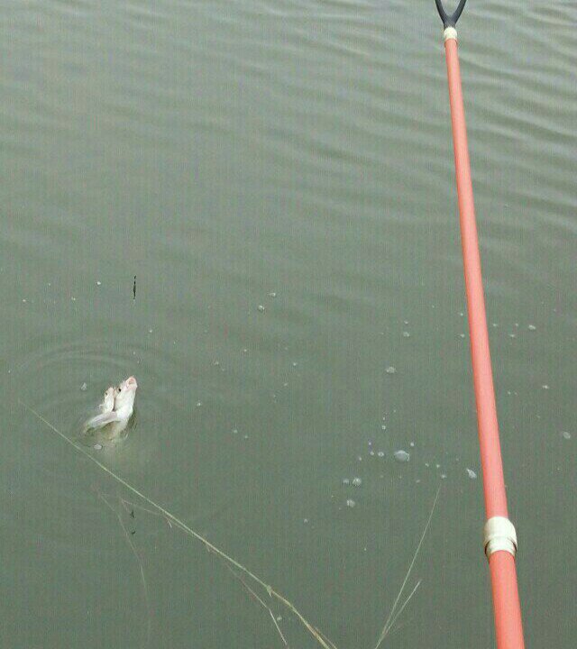 江宁区淳化街道索墅社区