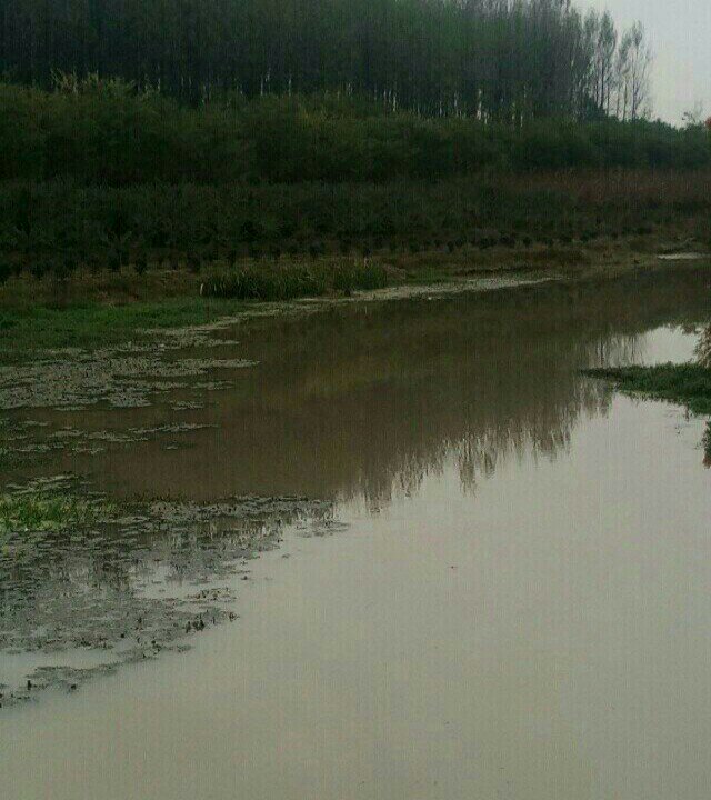 丹阳司徒下邳欧甲桥