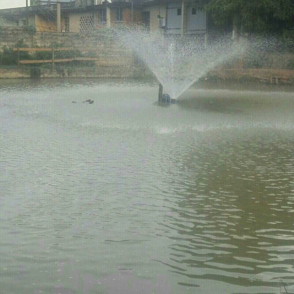 桥头小学对市面