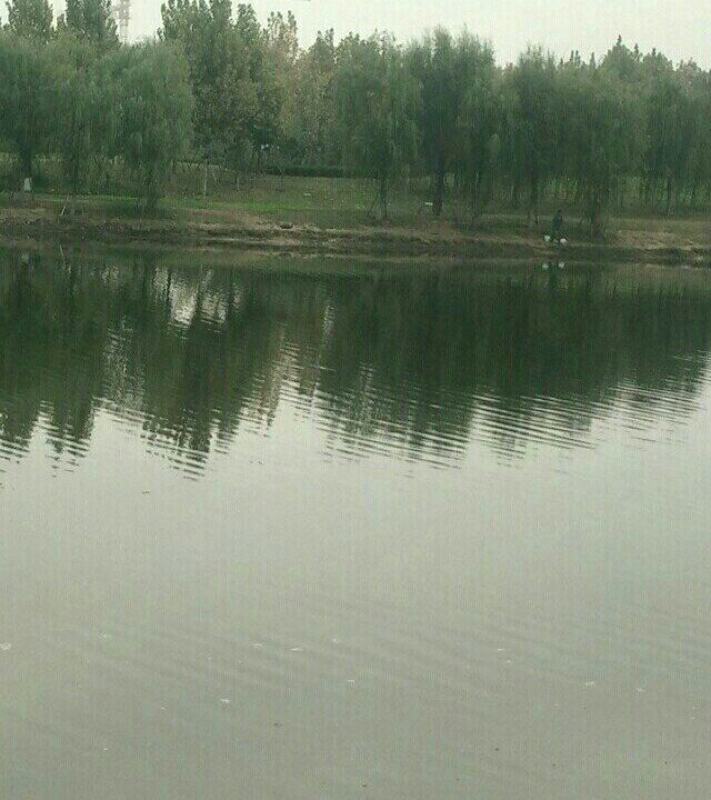 徒骇河陈口桥南东西两岸