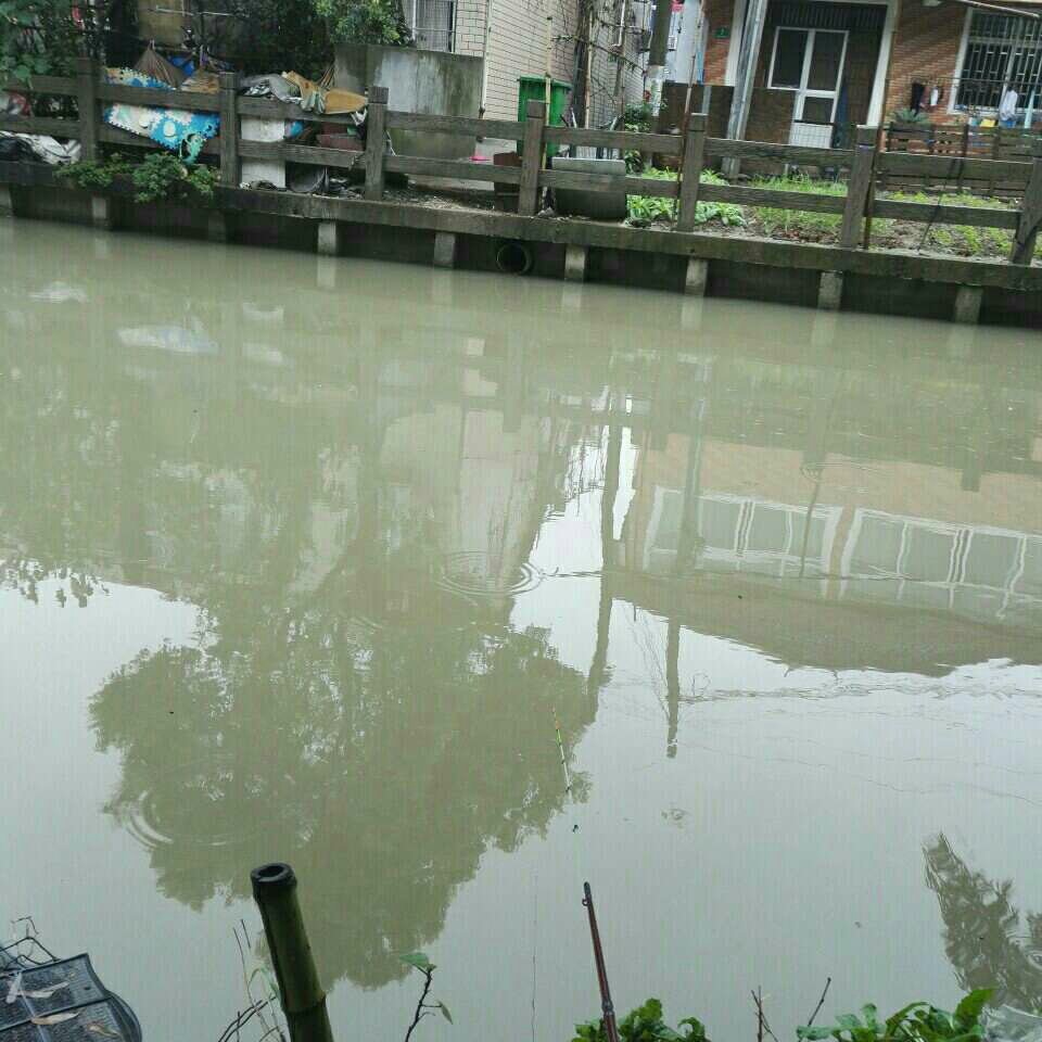 金桥加工区外河