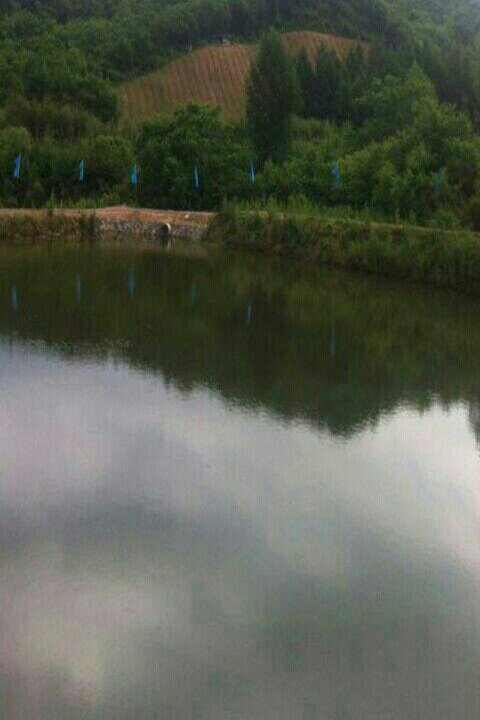 海林农场狼牙山