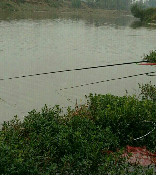 沁河东沁阳河段
