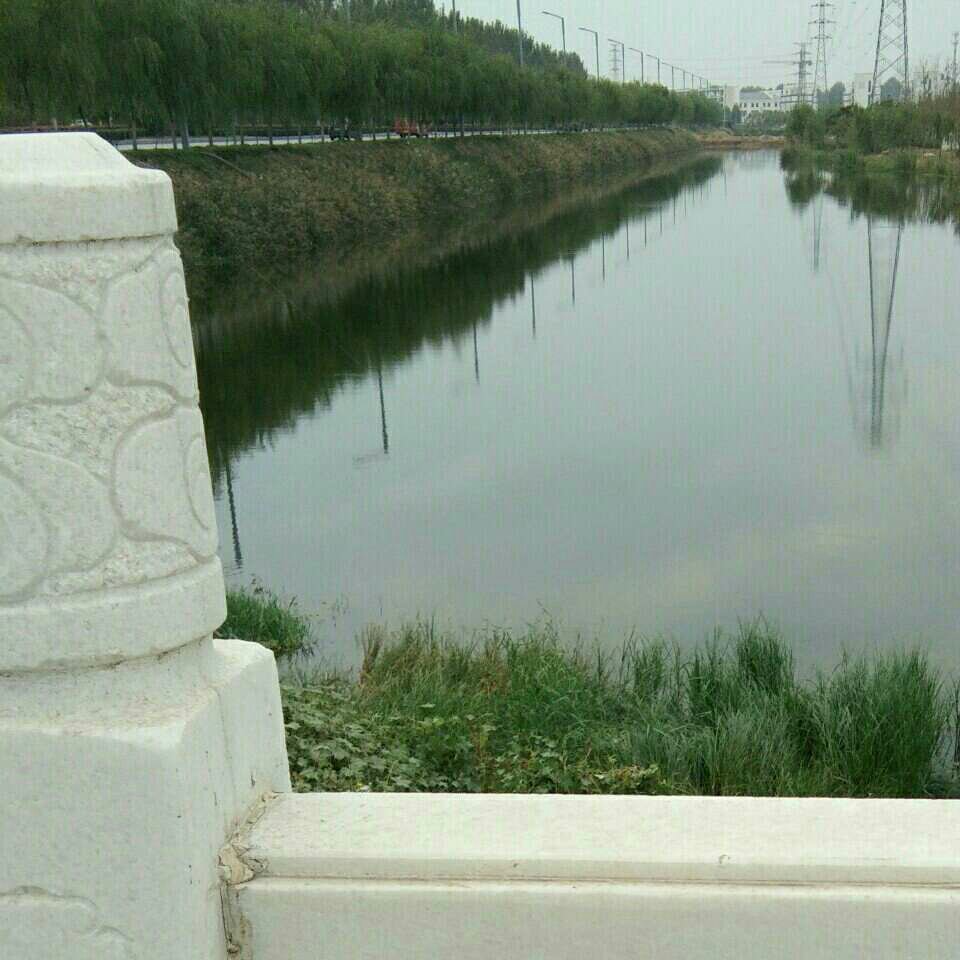 环城路绿化人工河