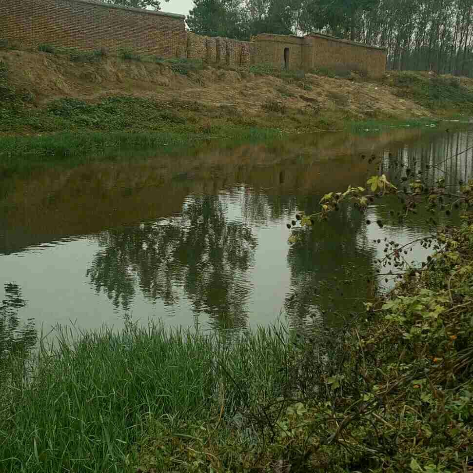 护城河清水流溪