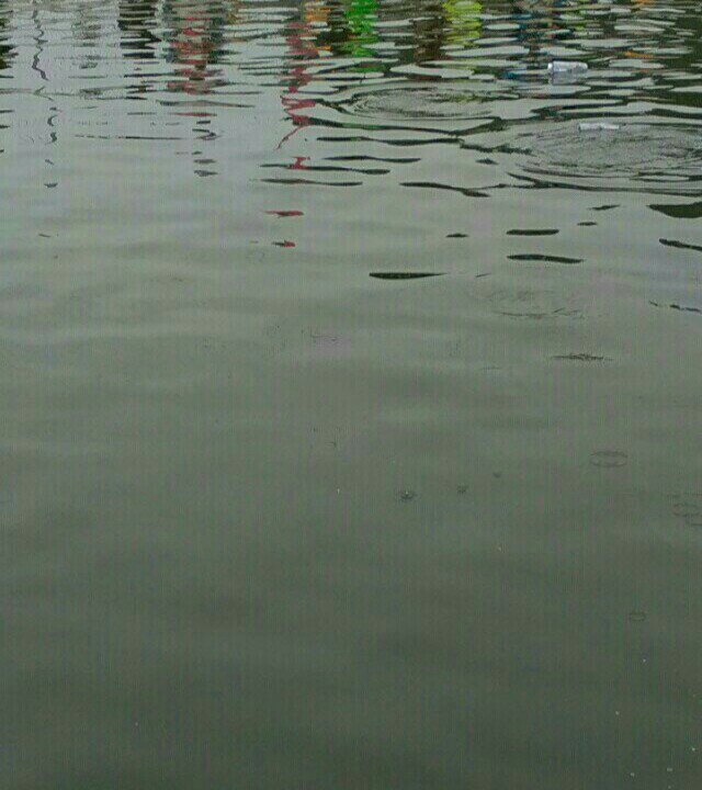 南环生态垂钓园