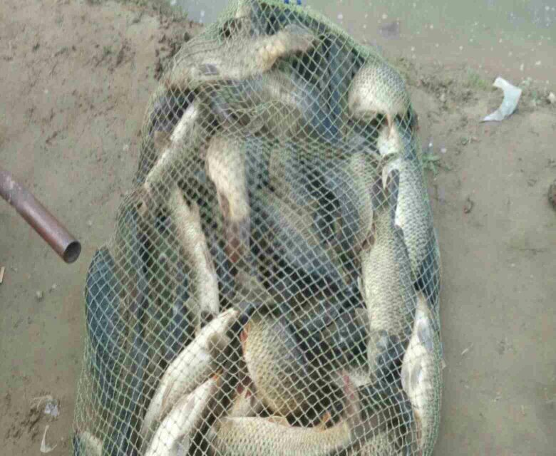 梁山聚义垂钓万斤坑