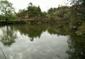 至诚农场一号库