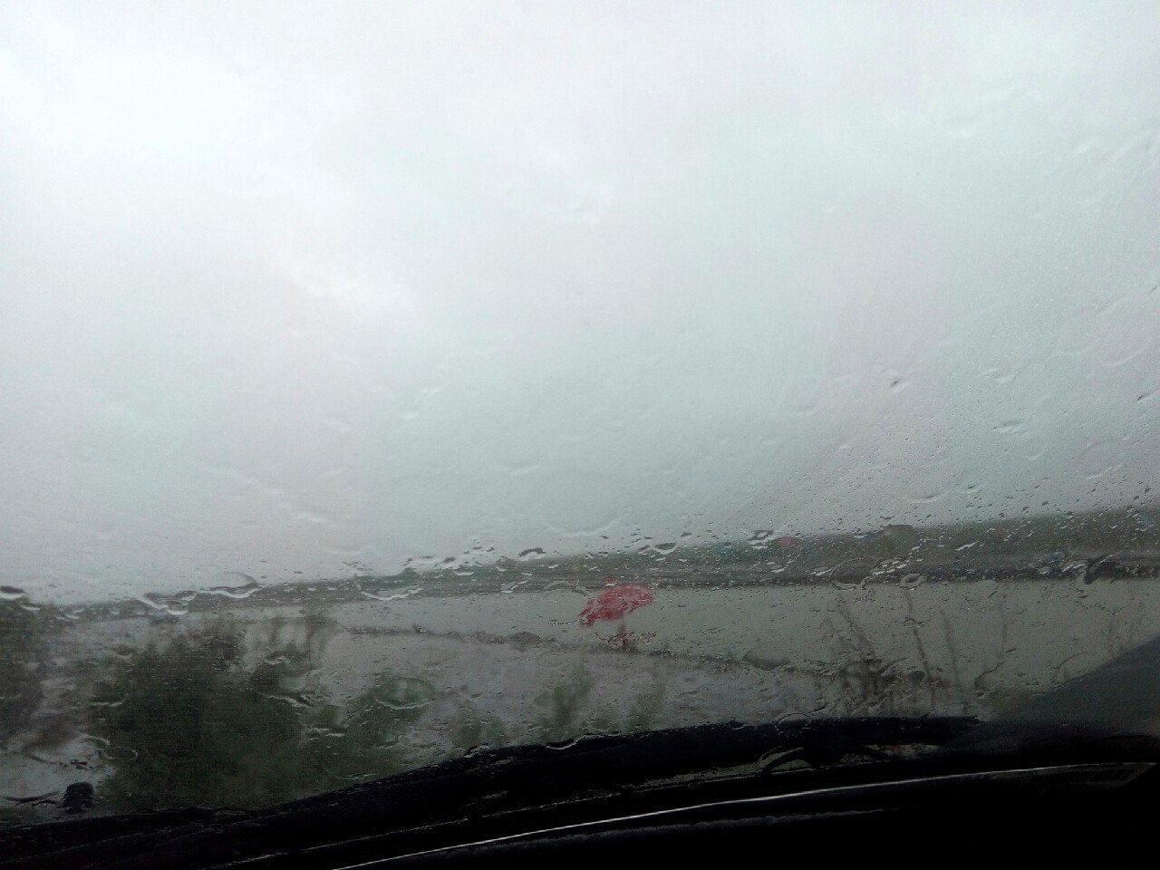 野生鱼垂钓基地