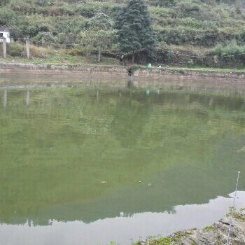 湄潭双龙福田垂钓园