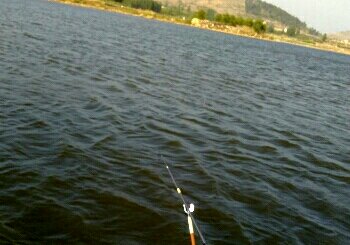 四支沟垂钓中心