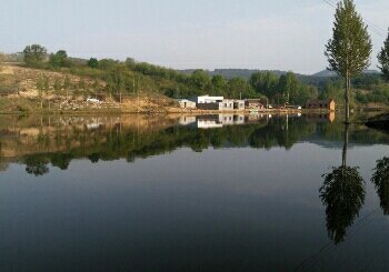 天鹅湖垂钓园