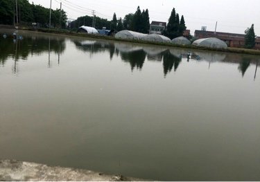 中里铺垂钓中心