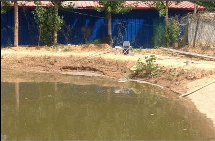 港区兄弟钓鱼湖