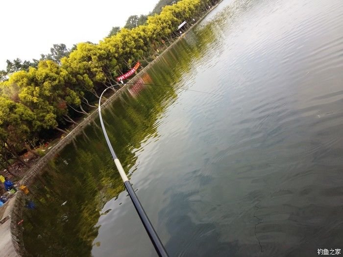 农科中心光明山水钓场